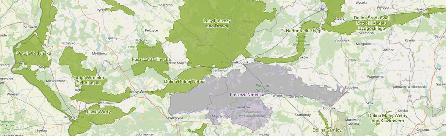 Mapa: polowania w OSO Natura 2000